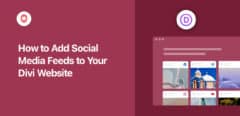 how to add social media feeds to your divi website