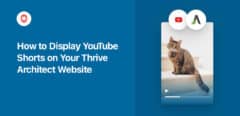 how to display youtube shorts on your thrive architect website