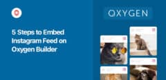 steps to embed instagram feed on oxygen builder