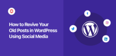 how to revive your old posts in wordpress using social media