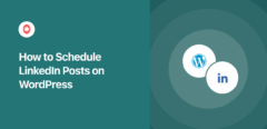 how to schedule linkedin posts on wordpress automatically