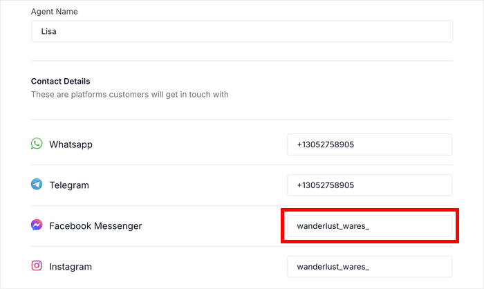 enter facebook details for chat agent