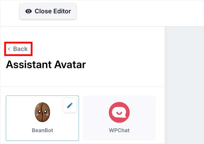 return to main customization options wpchat
