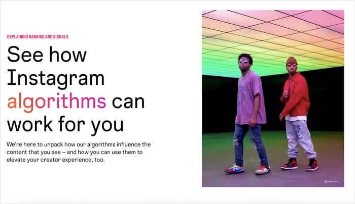 instagram algorith showcase