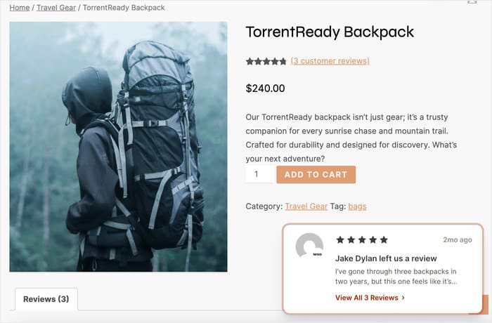 example of review on a woocommerce page