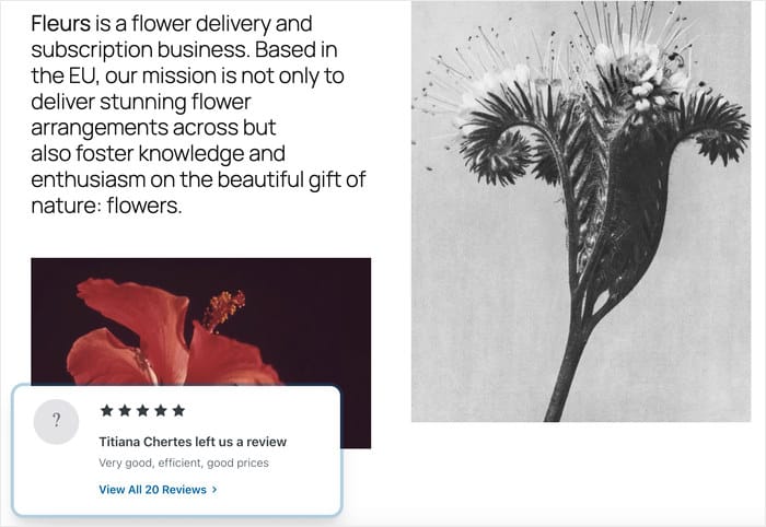 example of review popup on a website