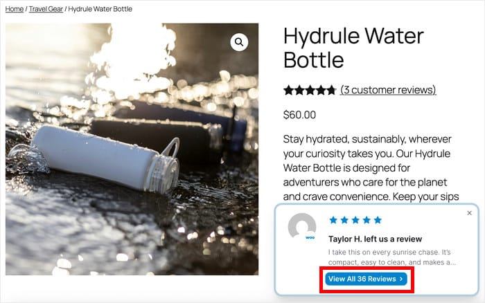 option to view all reviews from the popup